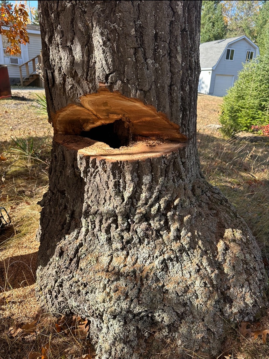 Cleared parcel with debris removed