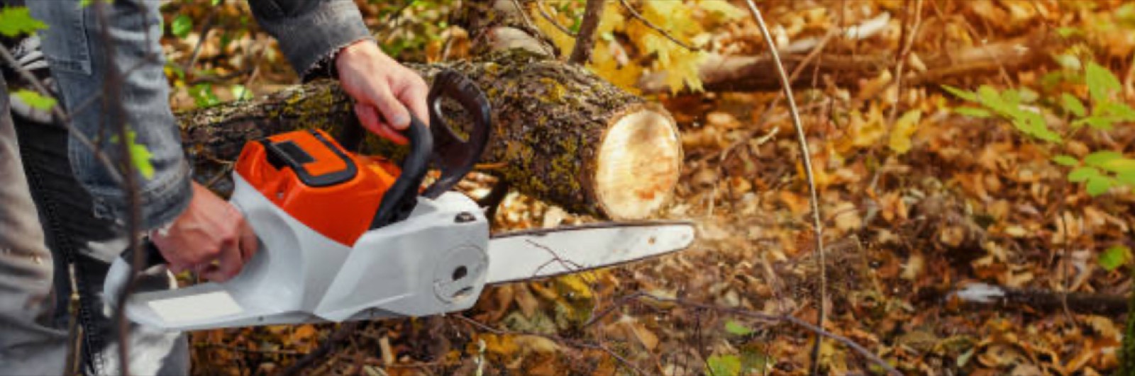 Completed tree service projects collage