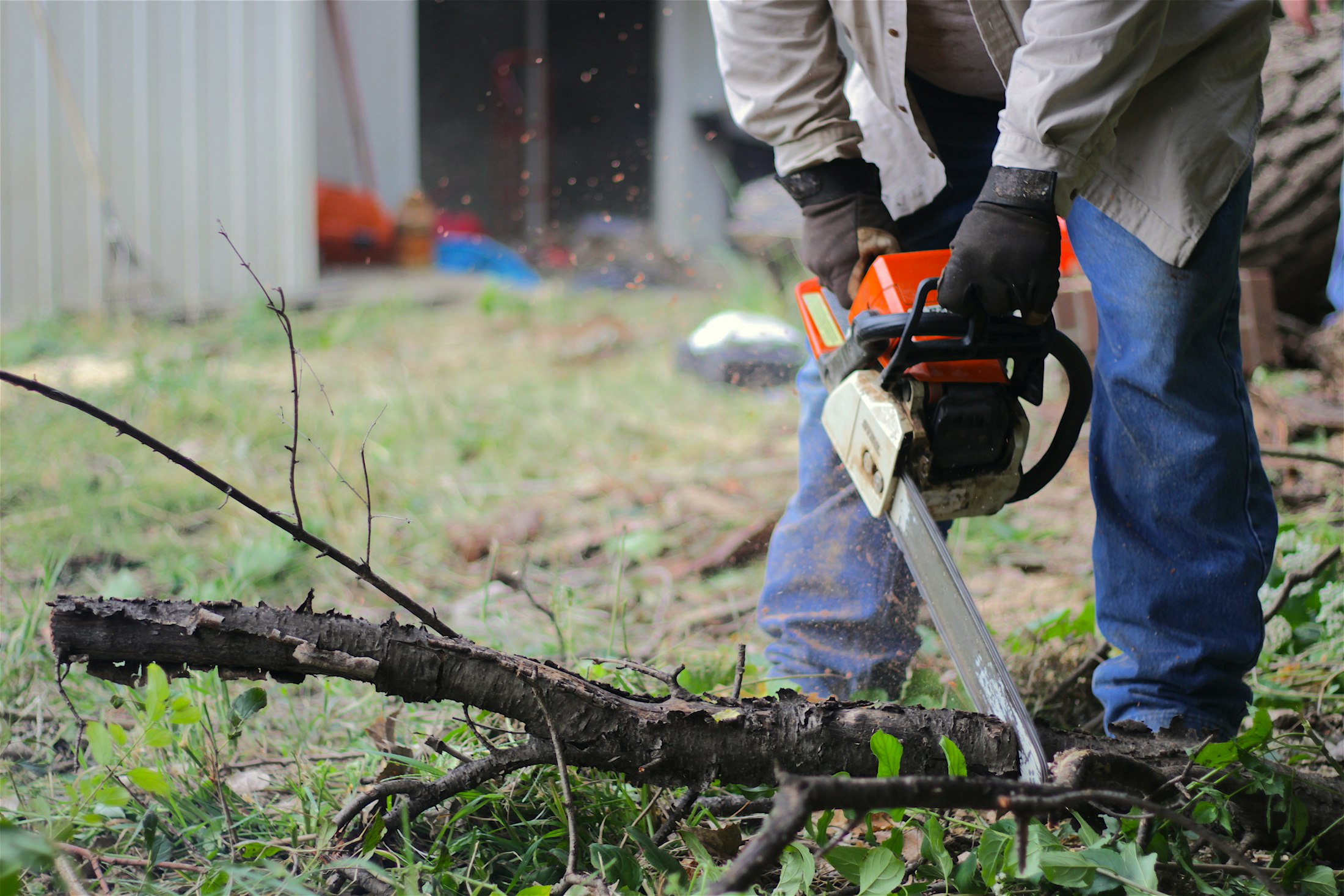 Arborist cutting a large tree limb with a chainsaw