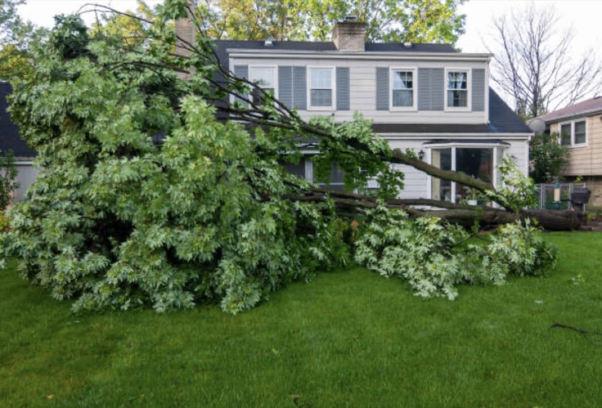 Emergency tree service crew cutting storm-damaged tree sections